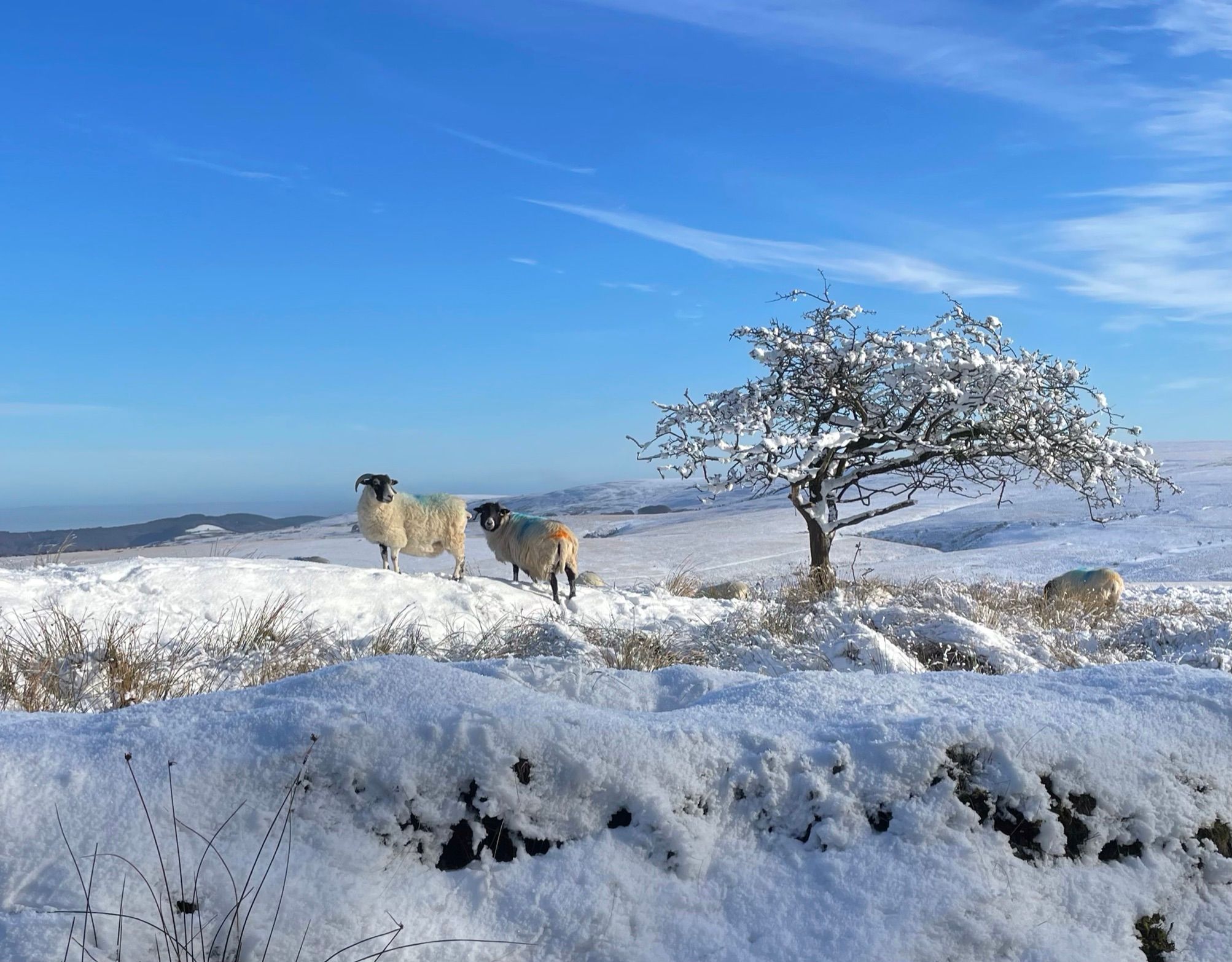 Exmoor landscape